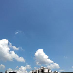 外国科普节目做爱片段
