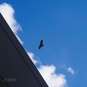 外国科普节目做爱片段
